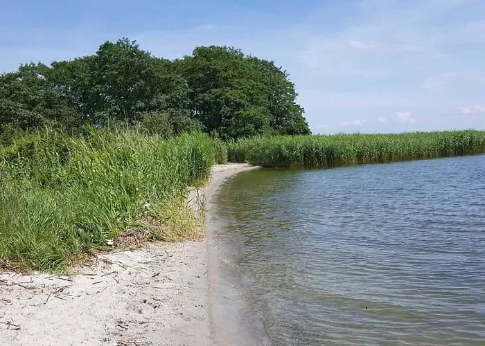 Froschkönig - Oase Am Haff