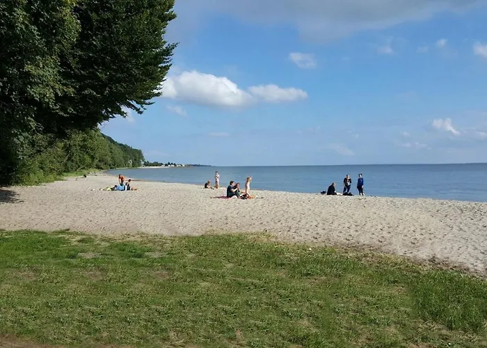Froschkönig - Oase Am Haff Garz (Usedom)
